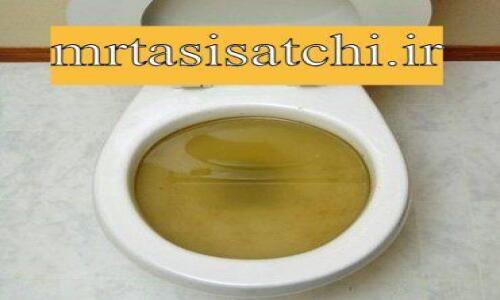 رفع گرفتگی توالت فرنگی